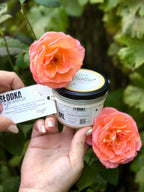 Sweet Snooze - Soy Candle